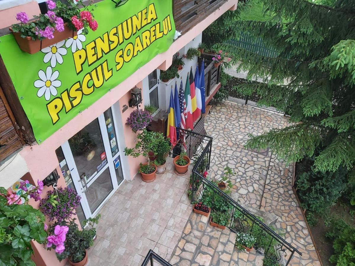 Pensiunea Agroturistica Piscul Soarelui Campulung Ngoại thất bức ảnh